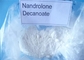 Ακατέργαστη σκόνη φαρμακευτικό Deca Nandrolone Decanoate CAS 360-70-3 ορμονών Deca Durabolin