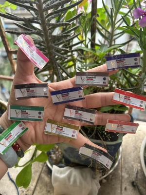 Ετικέτες φιαλιδίων 2 ml για διαφορετικά πεπτιδικά προϊόντα με στρογγυλό χρυσό έντυπο